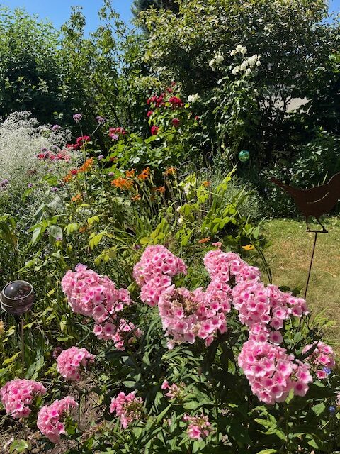 BVL Sommerzeit 2025